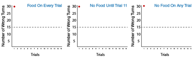 3 graphs depicting the three groups in Tolman's experiment: food on every trial group, the no food until trial 11 group, and the no food on any trial group. Each of the groups took 30 wrong turns on their first trial.