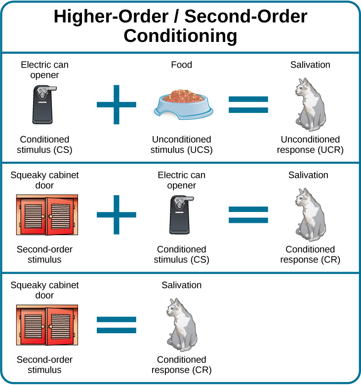 classical-conditioning-introduction-to-psychology-course-hero