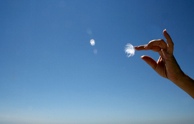 Image of a hand reaching out to touch a floating piece of flower or dust, in front of a blue sky background.