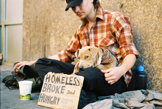 A photograph shows a homeless person and a dog sitting on a sidewalk with a sign reading, “homeless, broke, and hungry.”