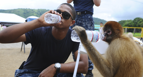 A photograph shows a person drinking from a water bottle, and a monkey next to the person drinking water from a bottle in the same manner.