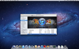 OS X